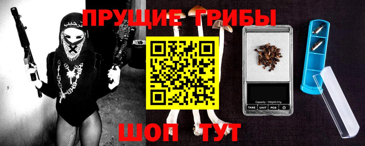 Электрогорск  Псилоцибиновые грибы Psilocybe  Вход с VPN 